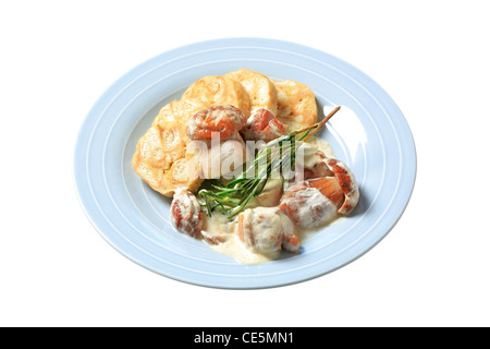 Steinpilze in Sahne-Sauce serviert mit Semmelknödel Stockfoto