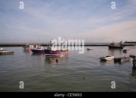 Angelboote/Fischerboote vertäut im Hafen von Folkestone Kent UK Stockfoto