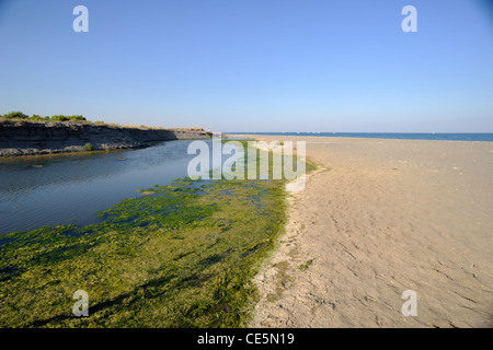 Italien, Basilicata, Policoro, Riserva regionale Bosco Pantano, WWF Naturreservat, Strand an der ionischen Küste Stockfoto