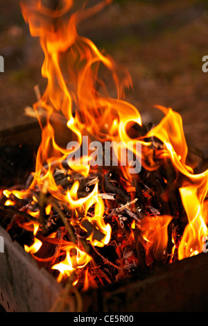 Closeup Feuer im Grill im Wald Stockfoto