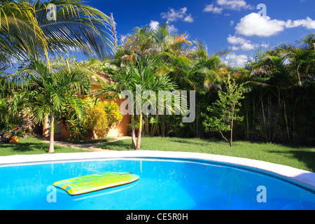 Privater Pool mit Palmen Stockfoto