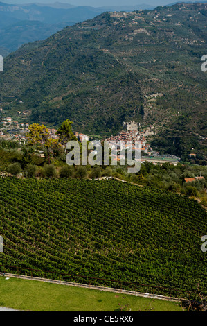 Dolceacqua am Fluss Nervia angesehen von Terre Bianche Vineyard Estate in der italienischen Region Ligurien Stockfoto