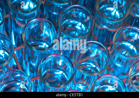 Rack mit Reagenzgläsern, enthält eine Flüssigkeit, mit rotem und blauem Licht beleuchtet. Stockfoto