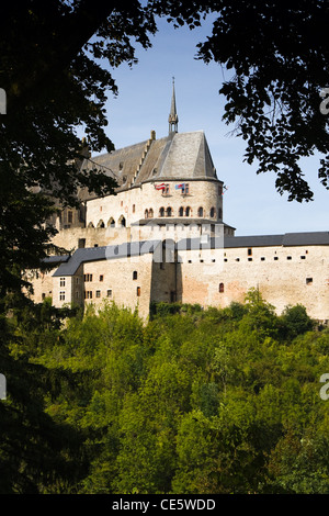 Vianden, mittelalterliche Burg auf dem Berg in Luxemburg oder Letzebuerg, Europa - Blick durch die Bäume - vertikales Bild Stockfoto