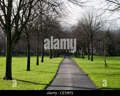 Winter Allee am Werneth Park, Oldham, Lancashire Stockfoto