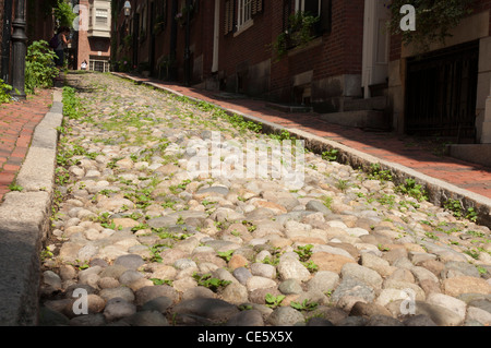 Malerische Kopfsteinpflasterstraße Acorn Street in Beacon Hill, Boston, Massachusetts. Historische enge Gasse mit Backsteingebäuden und Grün in den USA. Stockfoto