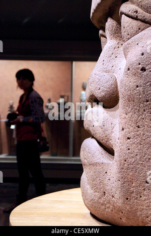 Kolossale Köpfe der Olmeken-Statue im Museo Nacional de Antropología. Distrito Federal, Mexiko. Mexiko Stockfoto