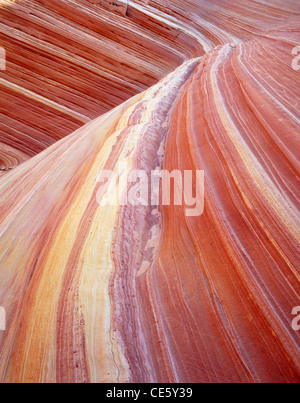 Bands der Farbe führen durch Sandstein in The Wave Teil der Coyote Buttes North in Vermillion Cliffs National Monument, Utah-AZ Stockfoto