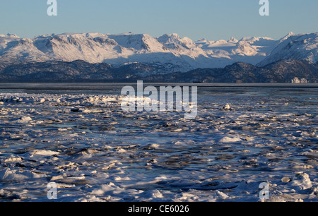 Eis bildet sich im Wasser des Kachemak Bay in Alaska die Kenai Mountains im Hintergrund an einem sonnigen Wintertag. Stockfoto