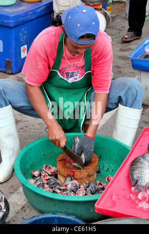 Fischhändler schneiden-Fisch Köpfe ab am Markt in Thailand Stockfoto