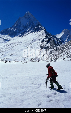 Trekker durch Schneefeld, Shivling Gipfel, Tapovan, Gangotri, Garhwal, Chamoli, Himalaya, Uttarakhand, Indien, Asien Stockfoto