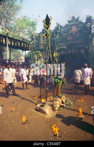 Mariamman Festival; Mariamman Tempel Festival; Erode; Tamil Nadu; Indien; Asien Stockfoto