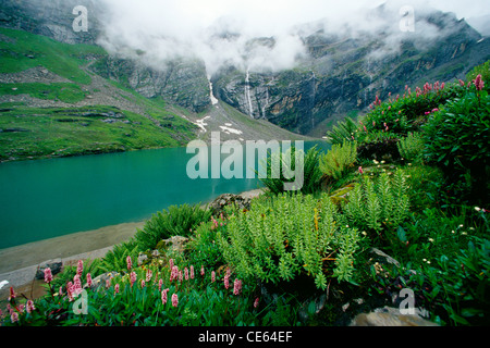 Hemkund Sahib See ; Hemkunt ; Joshimath ; Gobind Ghat ; Ghangaria ; Garhwal Himalaya ; Chamoli ; Uttaranchal ; Uttarakhand ; Indien ; Asien Stockfoto