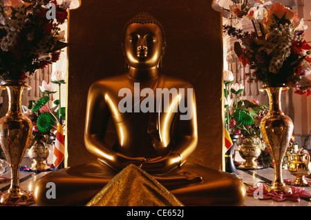 Golden Acryl Statue von Buddha; In Sri Lanka hergestellt; Mulgandh Kuti Vihar; Sarnath; Uttar Pradesh; Indien Stockfoto