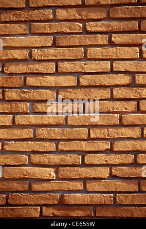 Rote Lehmziegel Wand; Jaipur; Rajasthan; Indien; Asien Stockfoto