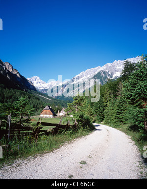 Überblick über Zapoden in der Nähe von Trenta, Soca-Tal, Gorenjska, Slowenien. Stockfoto