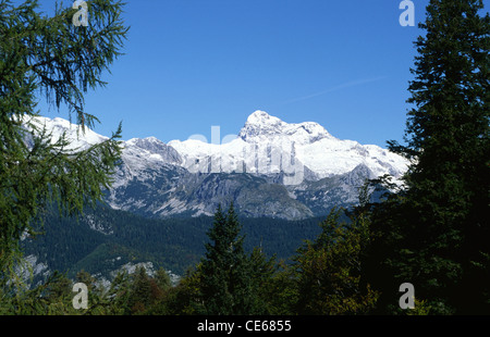 Triglav, Sloweniens höchster Berg aus betrachtet, in der Nähe von Gorenjska Vogel, Bohinj, Slowenien. Stockfoto