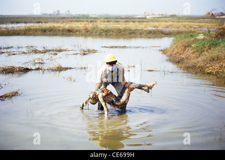 Mann nimmt toten Körper auf ; 1999 Odisha tropischer Wirbelsturm ; Tod nach Wirbelsturm ; Orissa ; Odisha ; Indien ; Asien ; November 1999 Stockfoto