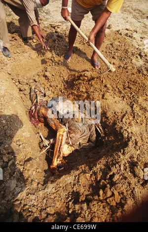 Im Grab begraben; 1999 Odisha tropischer Wirbelsturm; Tod nach Wirbelsturm; Orissa; Odisha; Indien; Asien; November 1999 Stockfoto