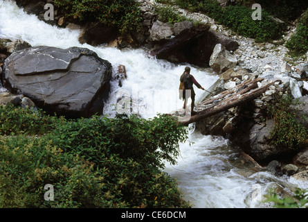 Mann Fluss kleine provisorische Holzbrücke überqueren; Har Ki Dhun; Garhwal; Himalaya Wanderung; Indien Stockfoto