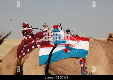 Roboter-Jockeys auf Kamelen, Doha Qatar racing Stockfoto