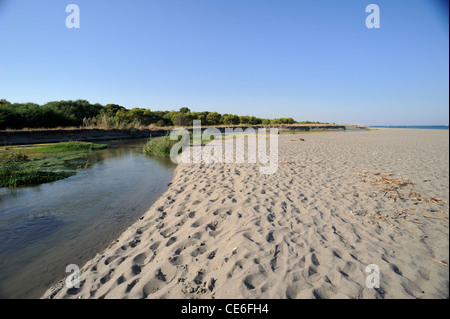 Italien, Basilicata, Policoro, Riserva regionale Bosco Pantano, WWF Naturschutzgebiet Stockfoto