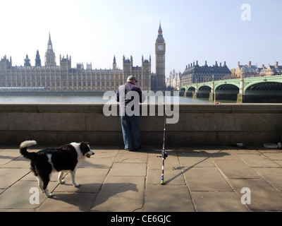 Ein Mann mit seinem Hund, Fische der Themse gegenüber der Houses of Parliament in London. Stockfoto