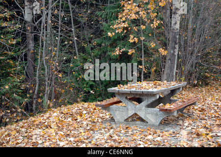 Ein Picknick-Tisch in den Wald im Herbst, mit goldenen Blättern bedeckt. Stockfoto