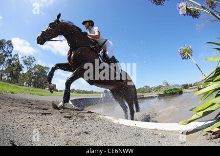 Reiter über Wasser im Pferdesport-Event Stockfoto