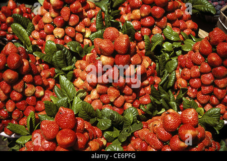 Strawberries strawberry fruit display for sale Stockfoto