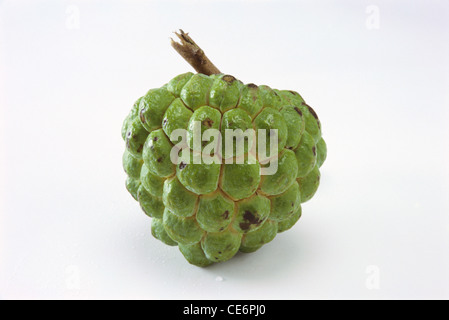 Custard Apple Obst auf weißem Hintergrund Stockfoto