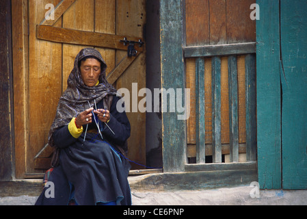 Ladakhi Frau vor ihrem Haus stricken; Ladakh; Jammu und Kaschmir; Indien Stockfoto