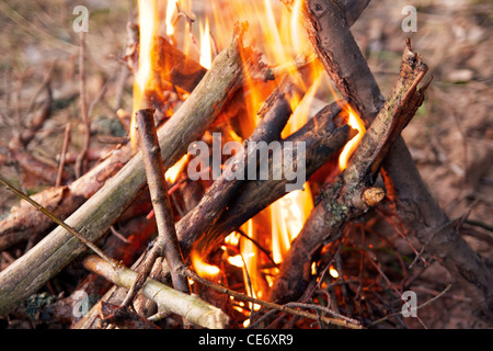 Geschlossen bis Lagerfeuer im Wald, Lager Stockfoto