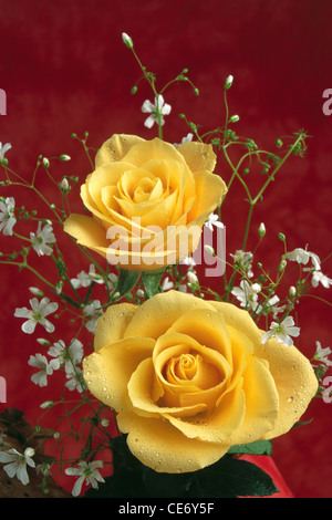 BDR 86322: Kunstblumen Anordnung von zwei gelben Rosen und weiße Blumen auf rotem Grund Stockfoto
