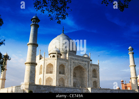 Taj Mahal; Agra; Uttar Pradesh; indien; asien Stockfoto