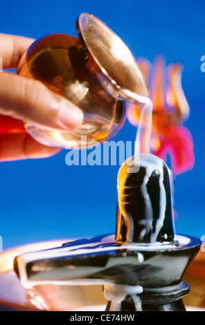 VHM 82817: Mahashivaratri Festival Mann Gießen Milch auf Gott Shiva Linga Indien Stockfoto