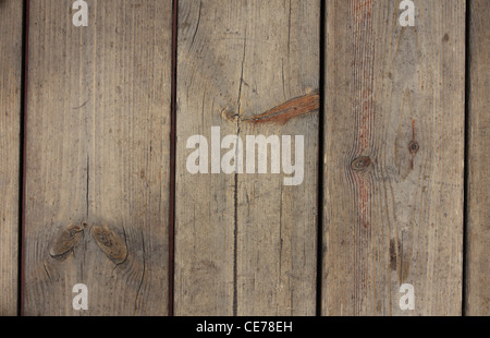 Fance strukturierte Holz Stockfoto