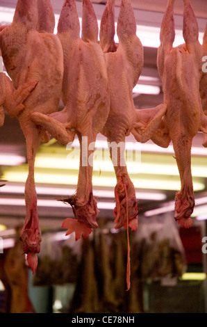 Halal-Hühner zum Verkauf auf dem Markt in Brixton Stockfoto