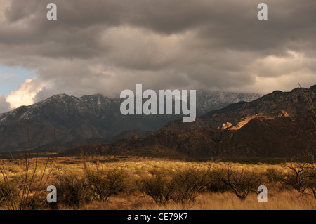 Das Grasland in den Ausläufern der Santa Rita Mountains in der Sonoran Wüste, Arizona, USA. Stockfoto