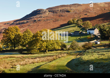 Ashness Farm und Bleaberry fiel, in der Nähe von Ashness Brücke, Nationalpark Lake District, Cumbria, England Stockfoto