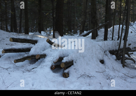 Haufen von geschnittenen Protokolle mit Schnee bedeckt Stockfoto