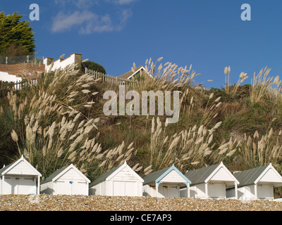 Weiße Strandhütten an einem steinigen Strand mit einem Hintergrund von Pampasgras, grasbewachsenen Bank und blauer Himmel in Süd-Ost-England Stockfoto