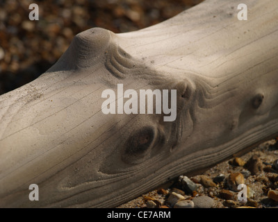 Eine Nahaufnahme von glatten taktile Wellenbrecher Holz auf den Steinen und Sand auf den Strand gesetzt Stockfoto