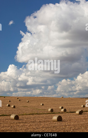 IA, Jackson County, Baled Maisstroh Stockfoto