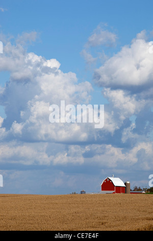 IA, Dubuque County, rote Scheune und Kornfelder Stockfoto