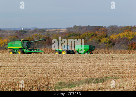 IA, Clayton County, Maisernte Stockfoto