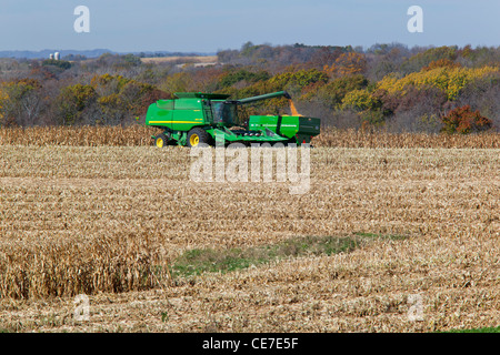 IA, Clayton County, Maisernte Stockfoto