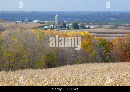 IA, Dubuque County, Iowa Ackerland im Herbst Stockfoto
