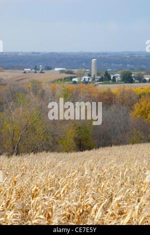 IA, Dubuque County, Iowa Ackerland im Herbst Stockfoto