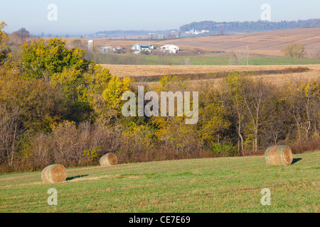 IA, Dubuque County, Heuballen und Ackerland Stockfoto